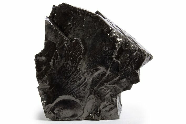 Lustrous, High Grade Shungite - Colombia #324900